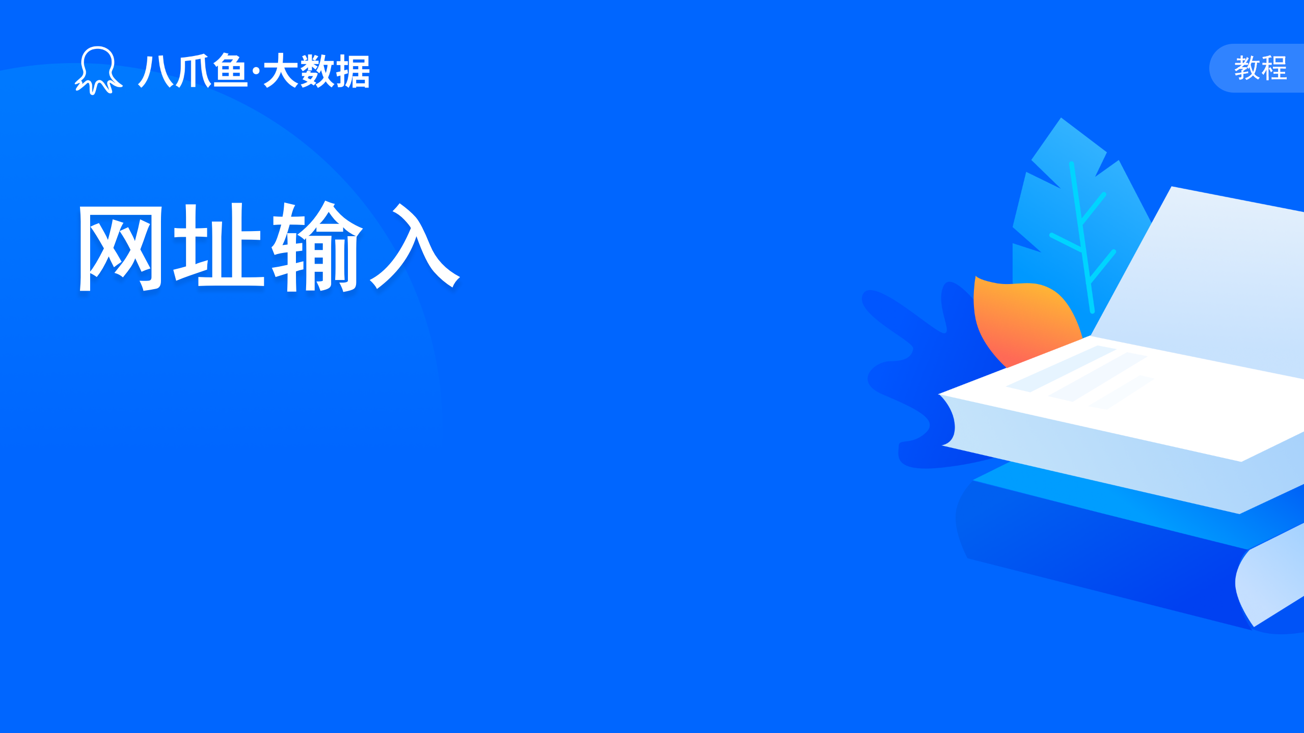 网址输入